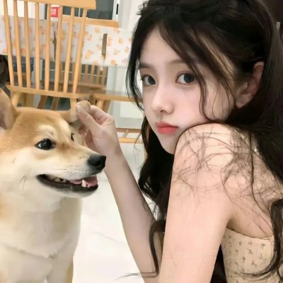 亚西西的圣方济各